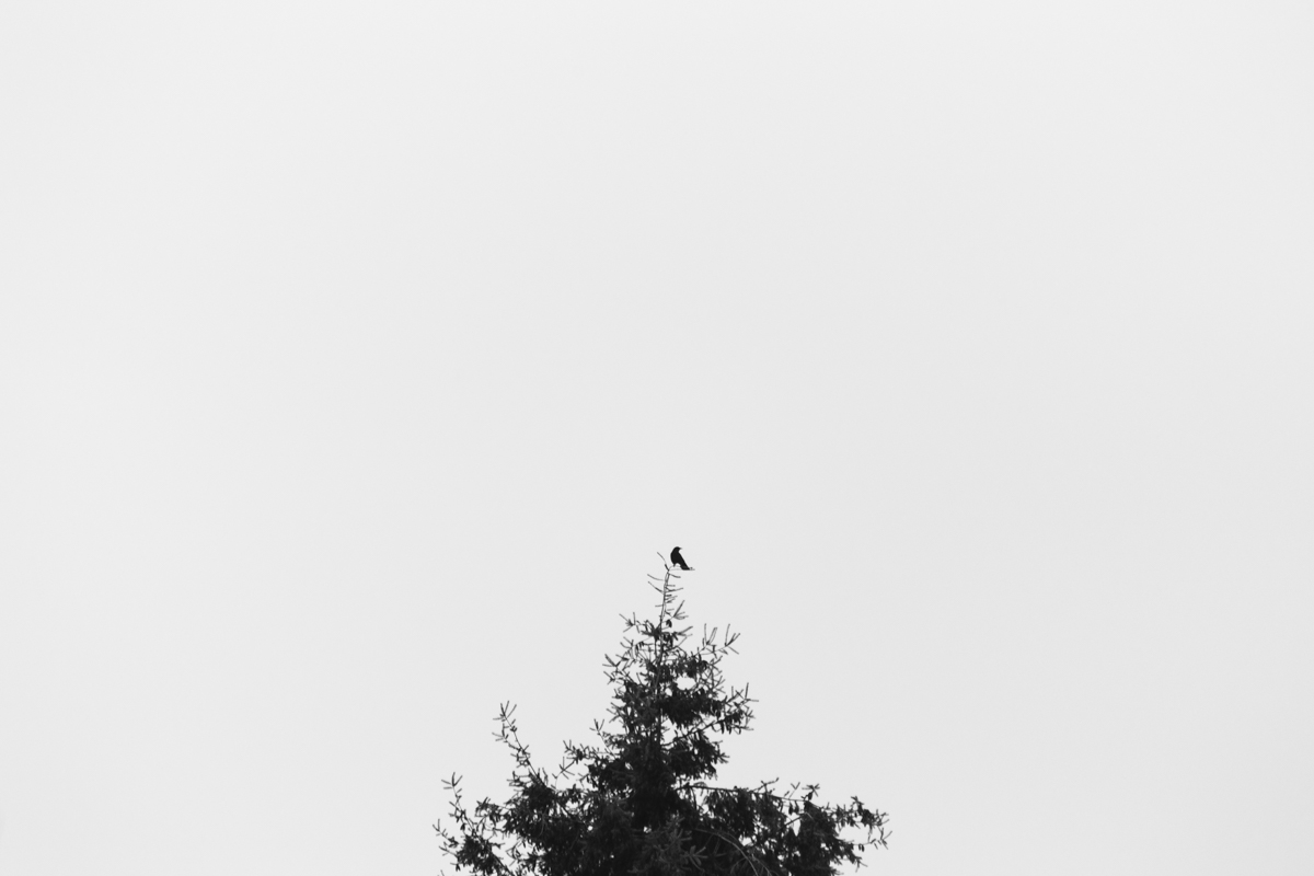 026 | 365