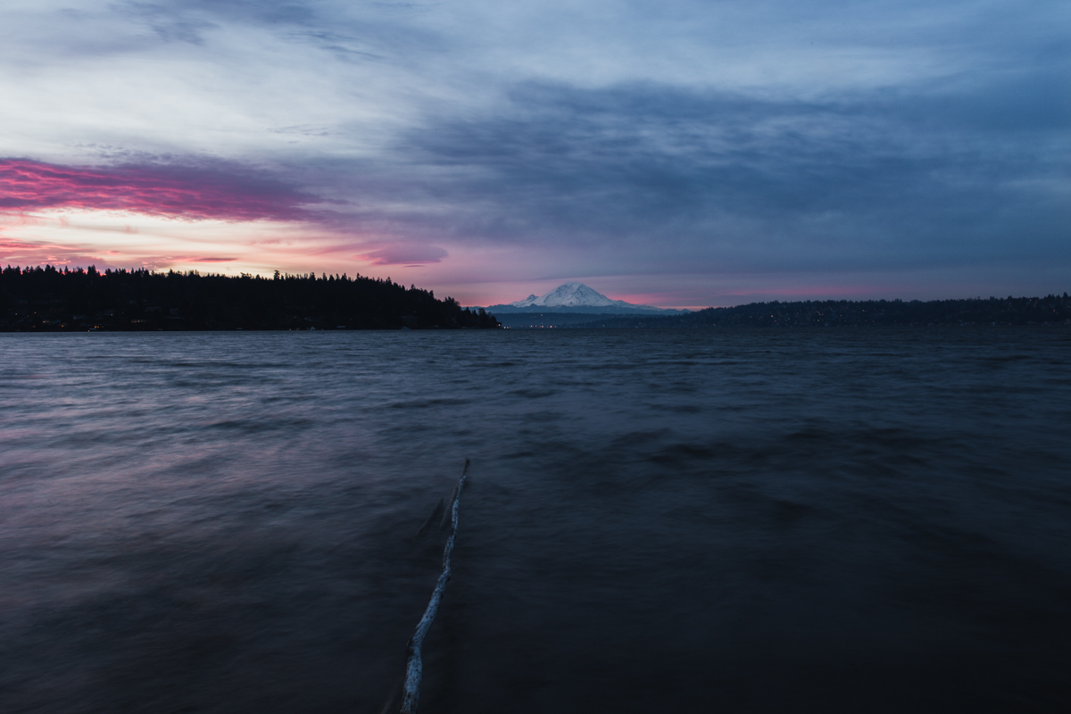 029 | 365