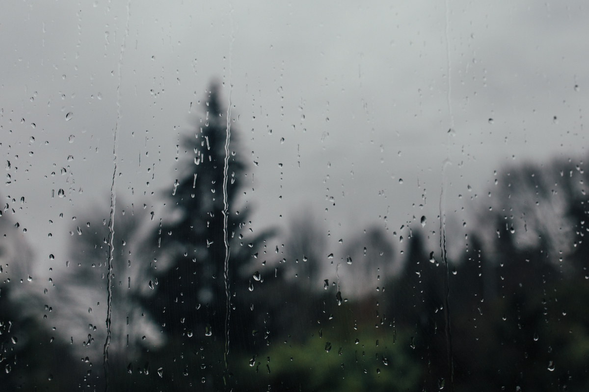 046 | 365