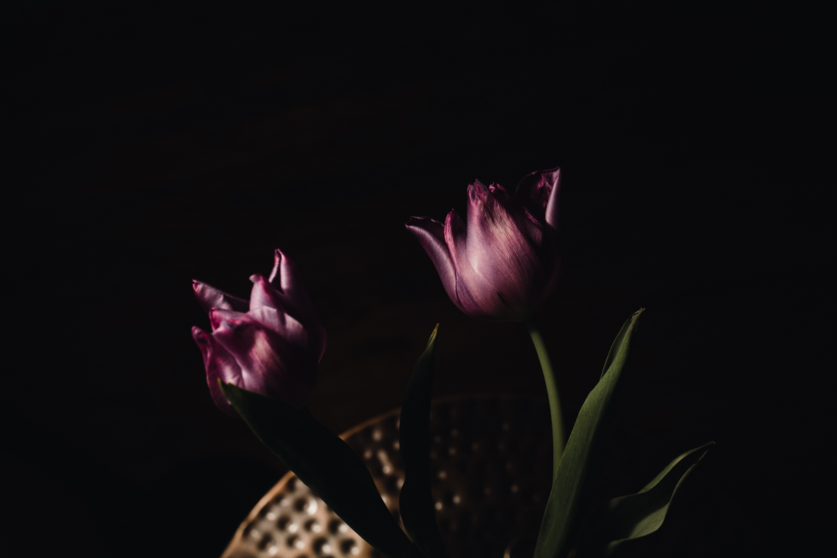 070 | 365