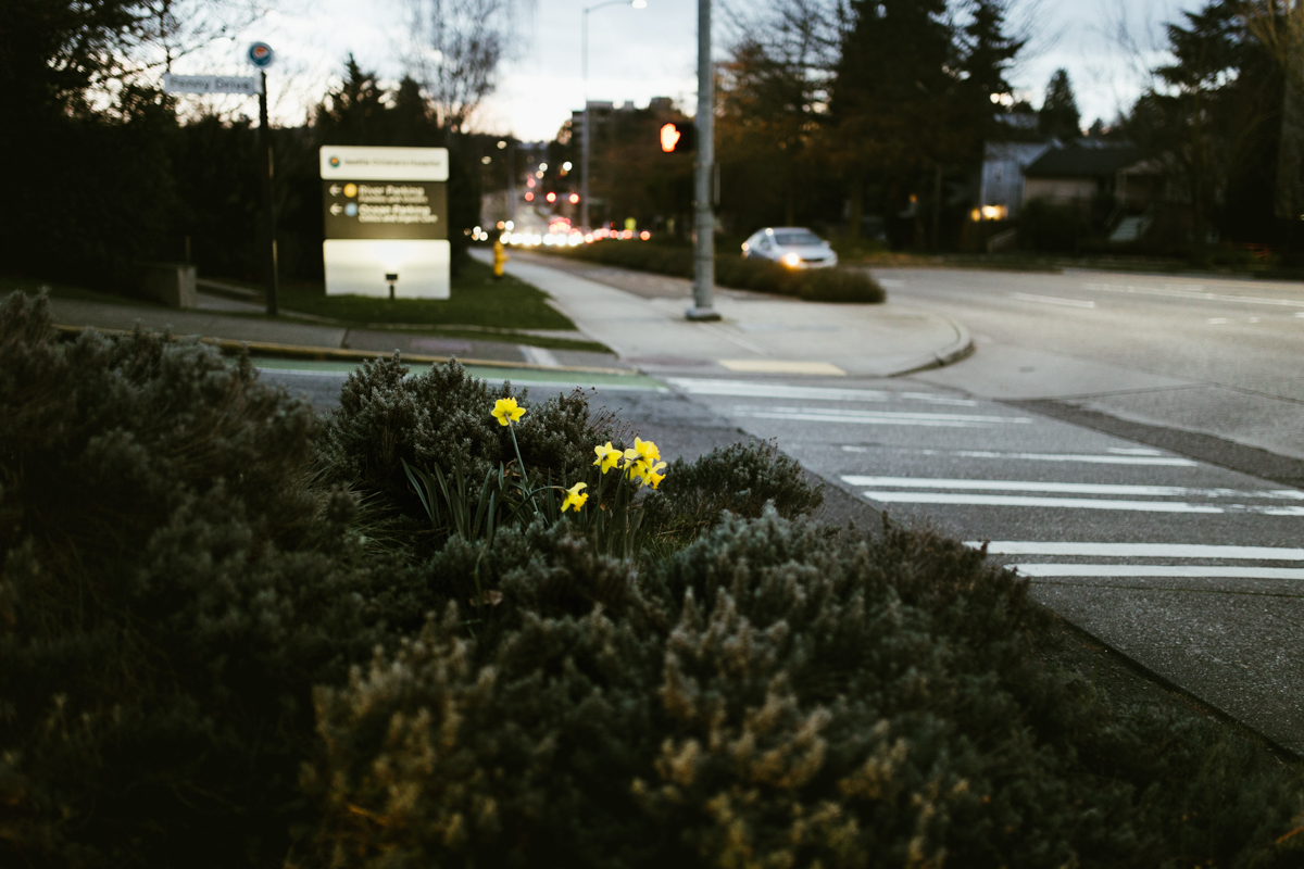 077 | 365