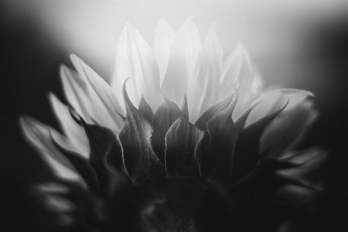 082 | 365