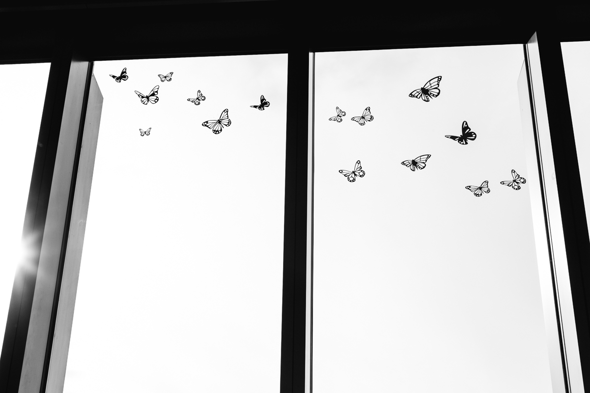 084 | 365
