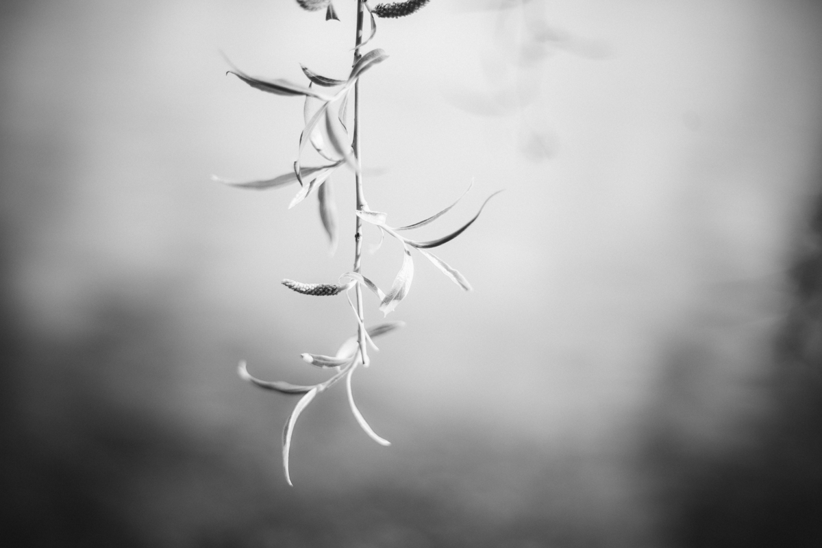 090 | 365