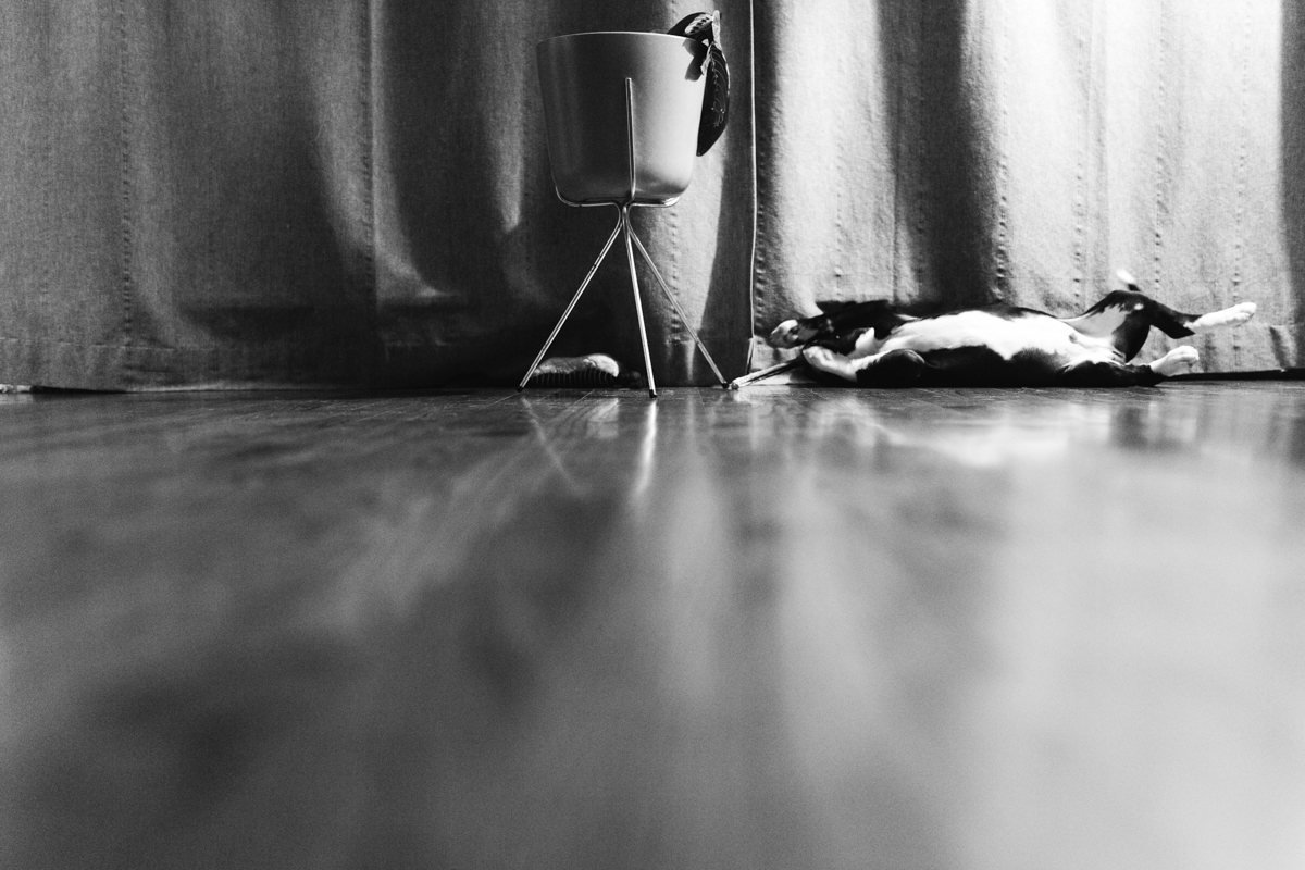 104 | 365