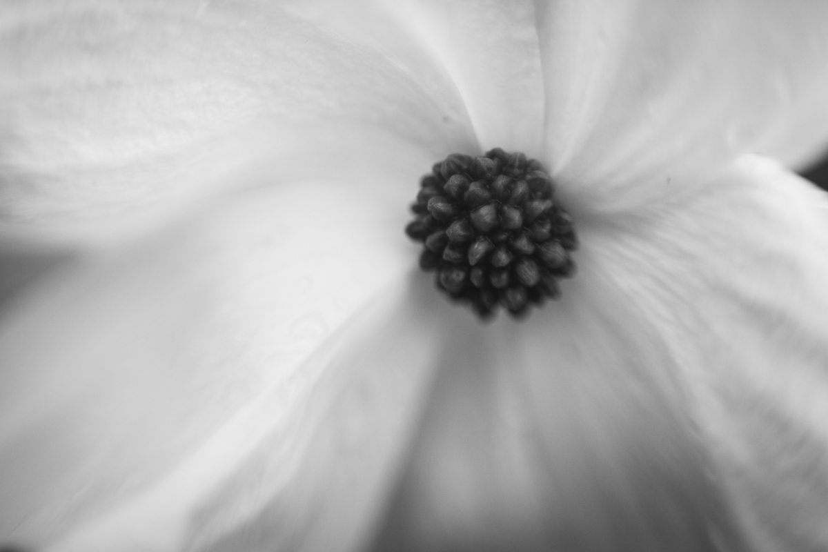 125 | 365