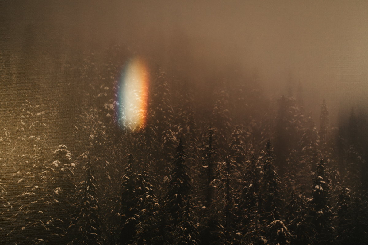 196 | 365