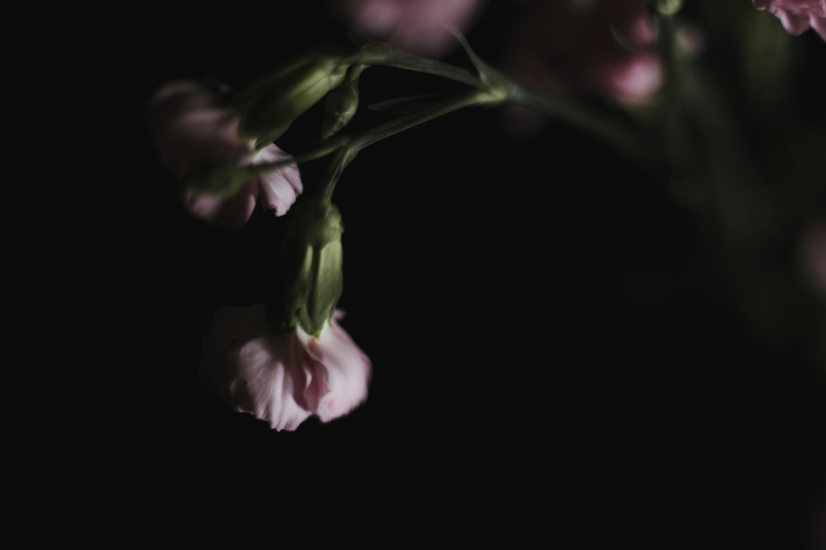 271 | 365