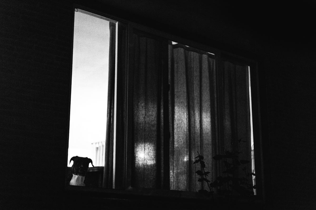 277 | 365