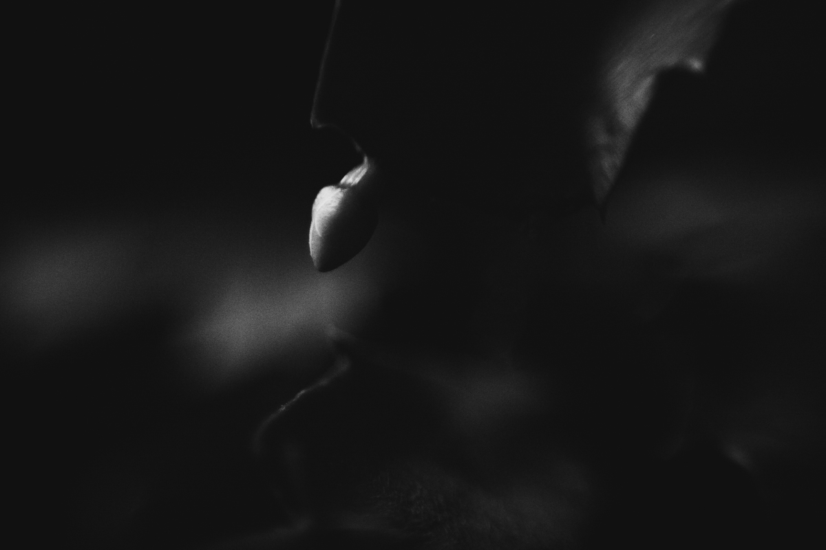 290 | 365
