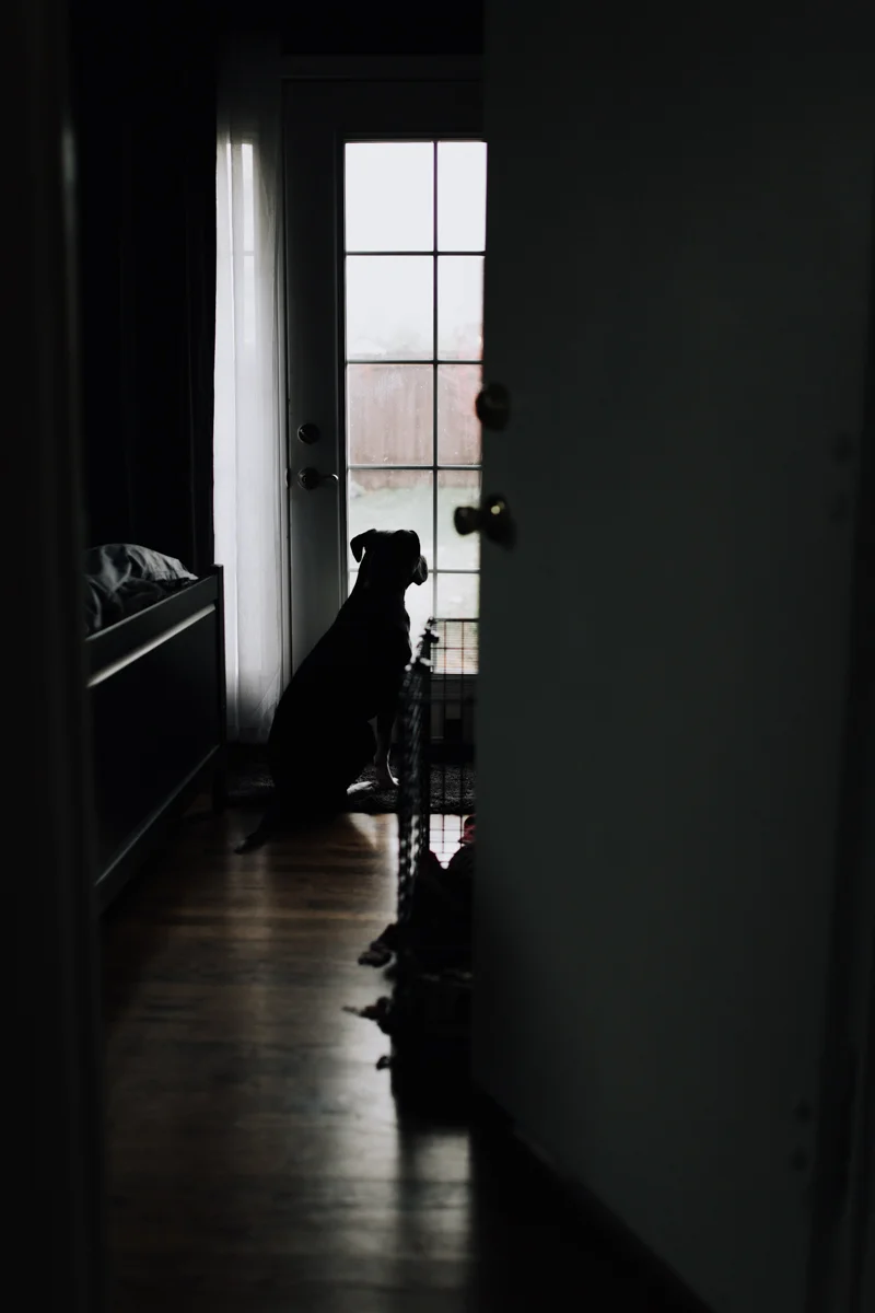 334 | 365