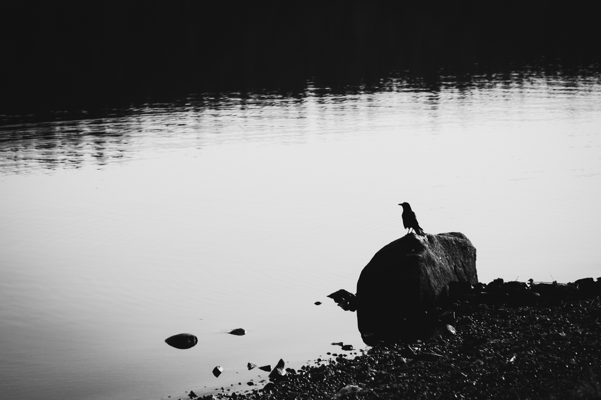 343 | 365