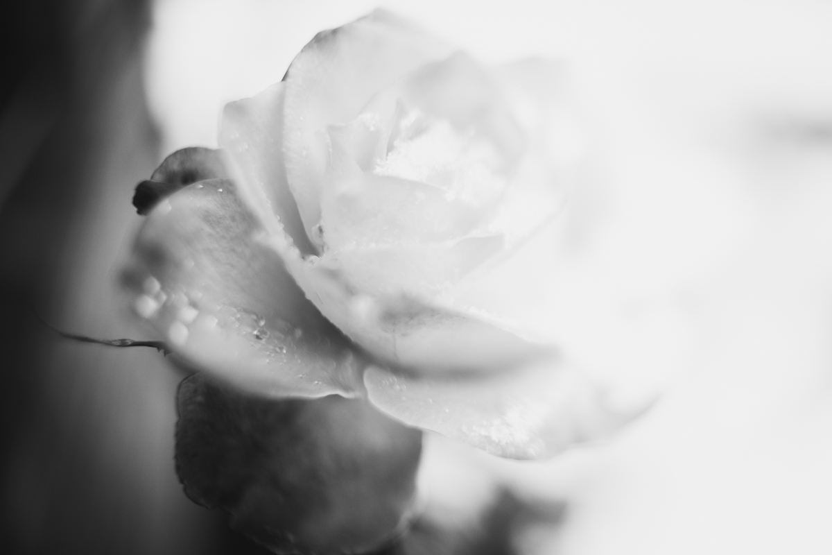 361 | 365