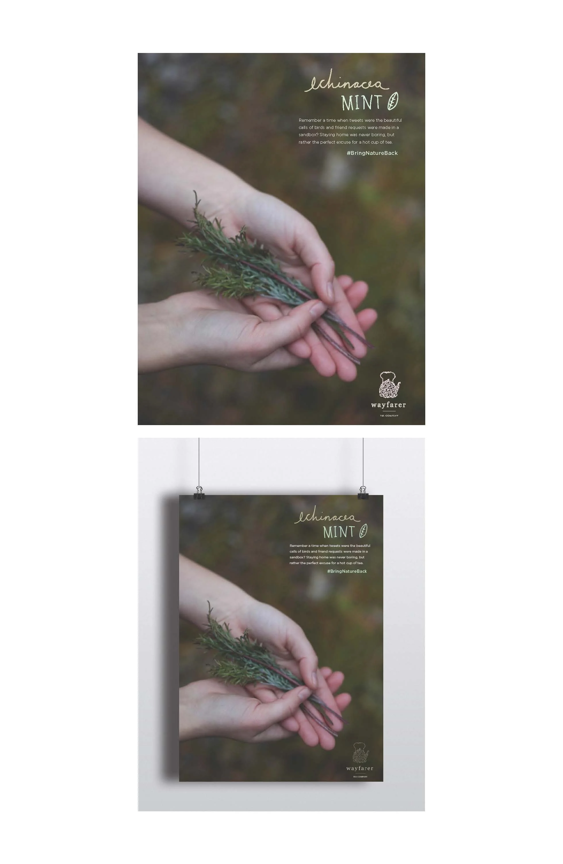 tea campaign_Page_3.jpg