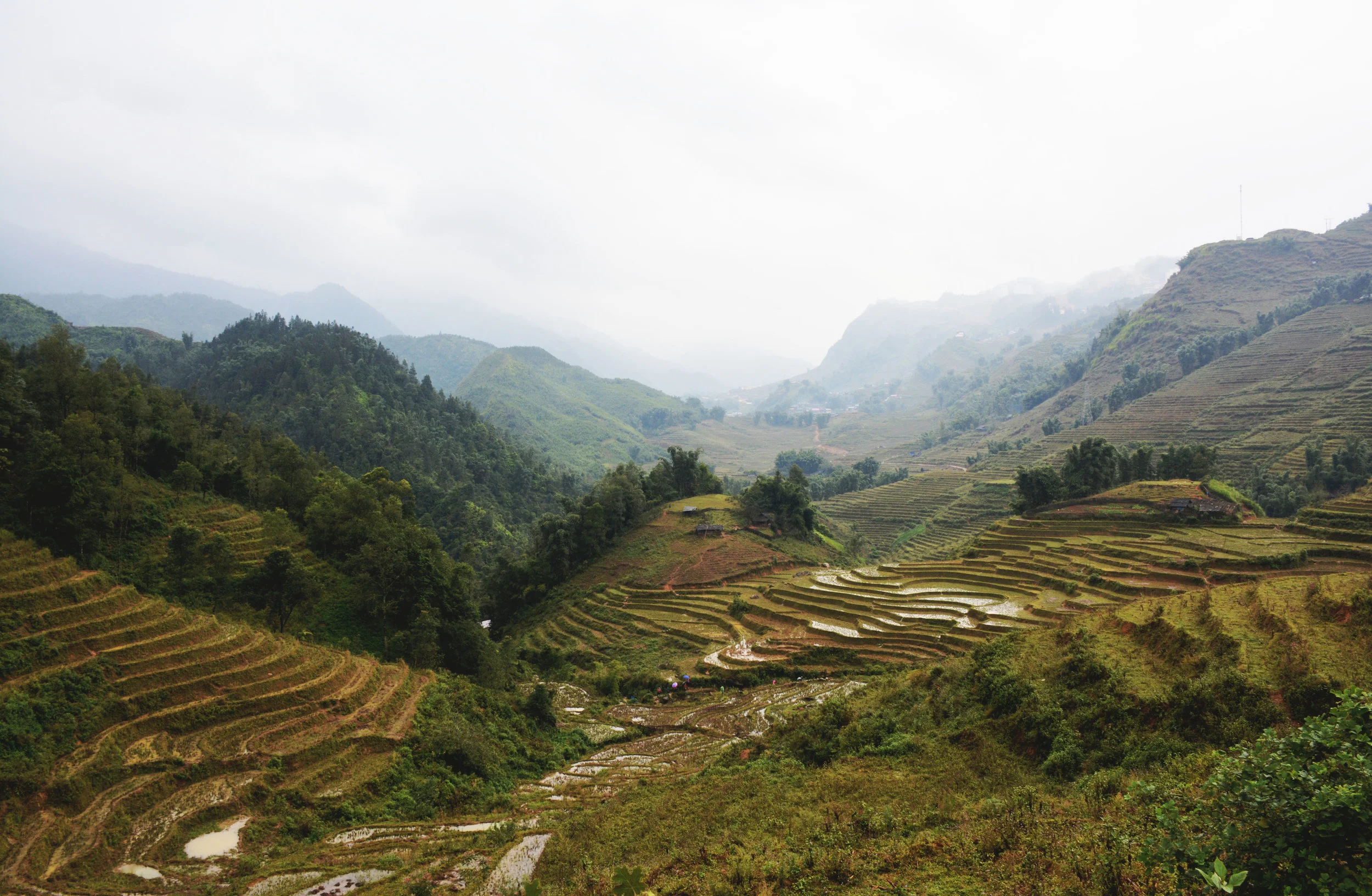 Sapa, Vietnam