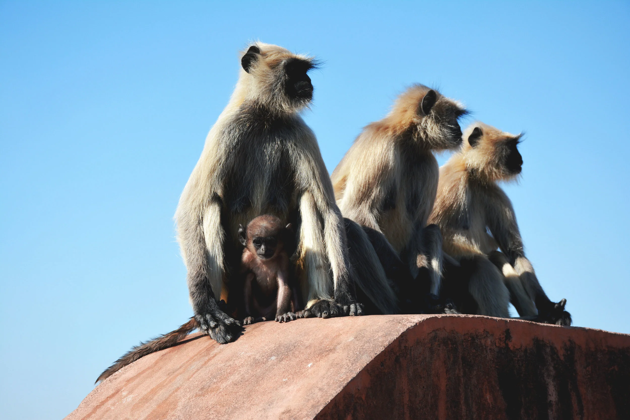 Jaigargh Fort, India