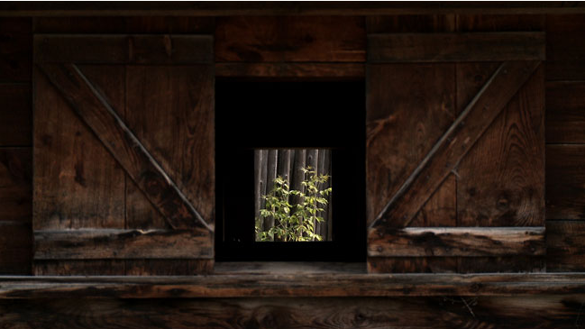 Screen Shot 2013-11-26 at 12.36.56 AM.png