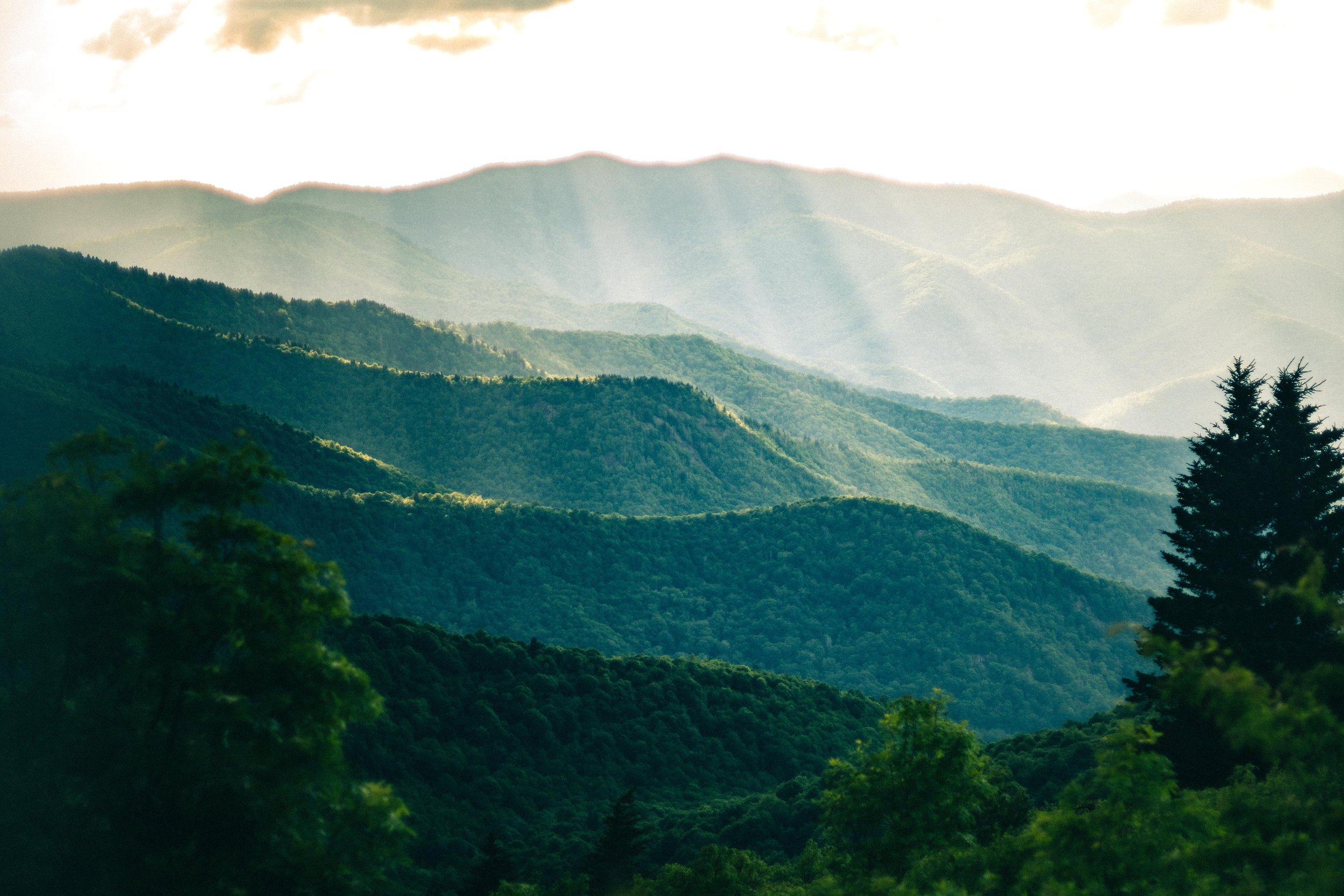 brm-landscape.jpg