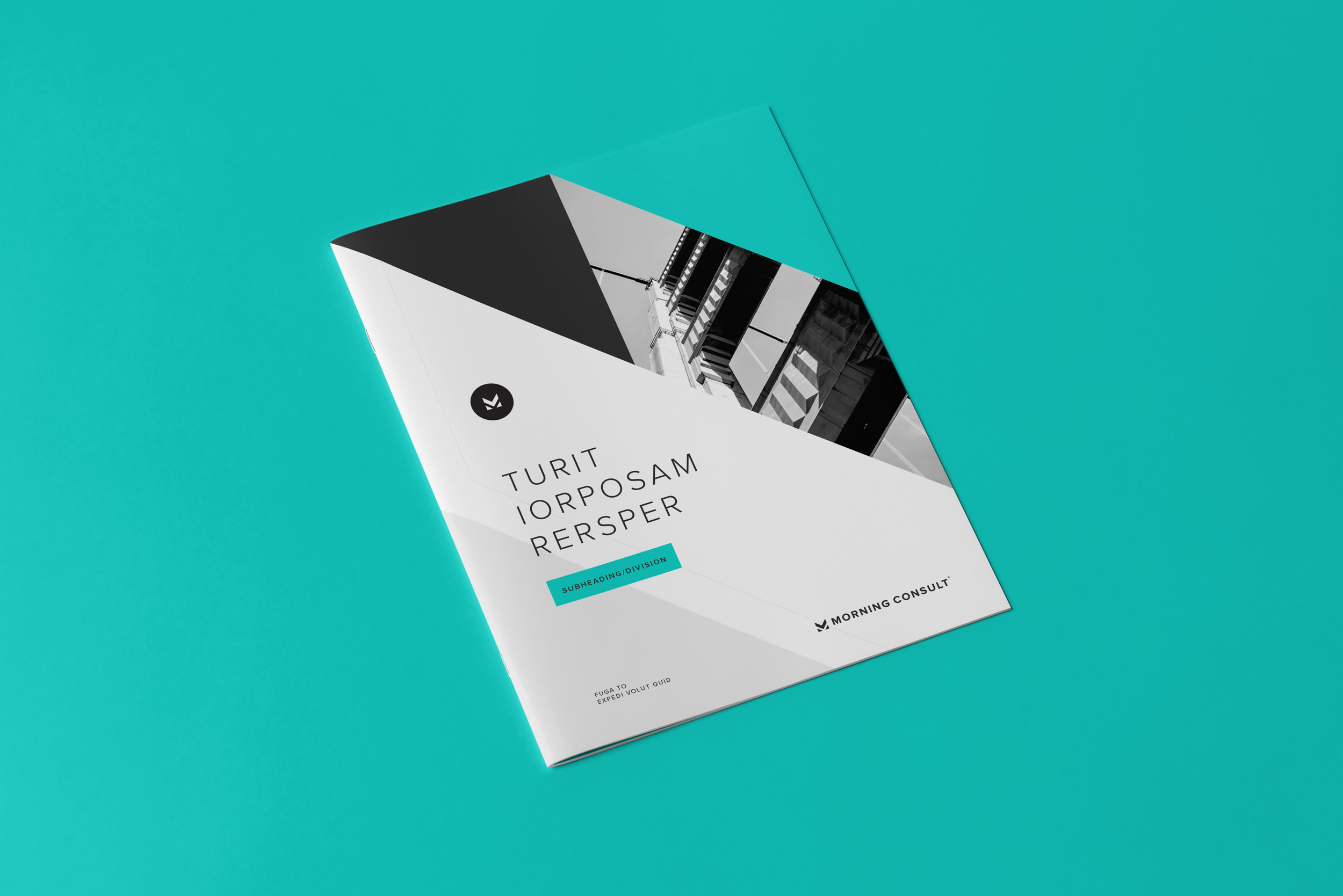 mc-corporate-brochure-internal1.png