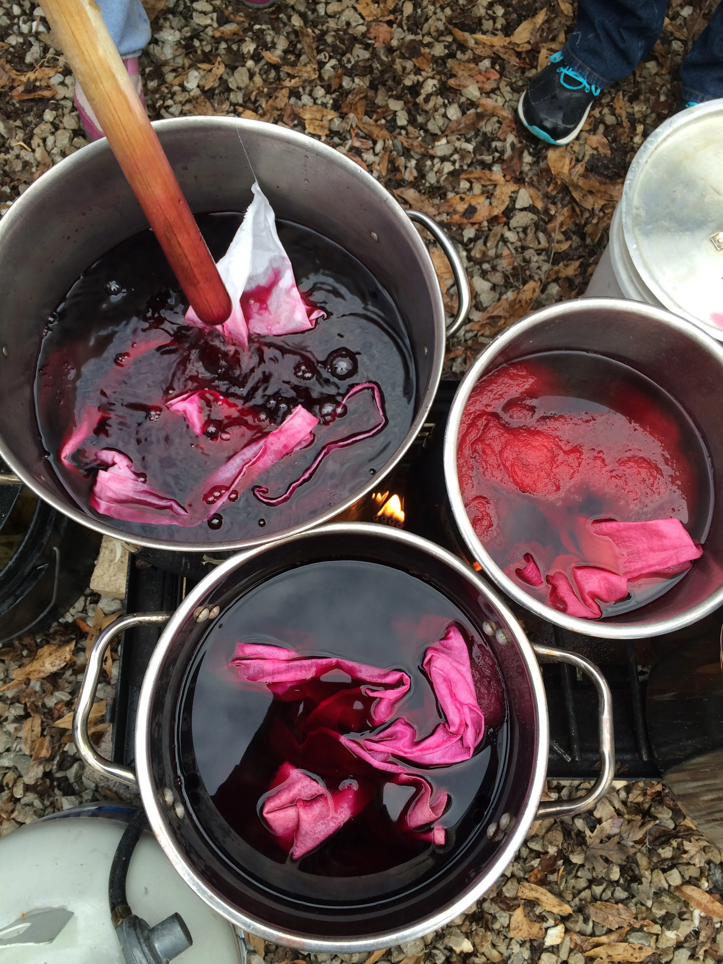 Cochineal with 3 different mordants: copper, iron and alum