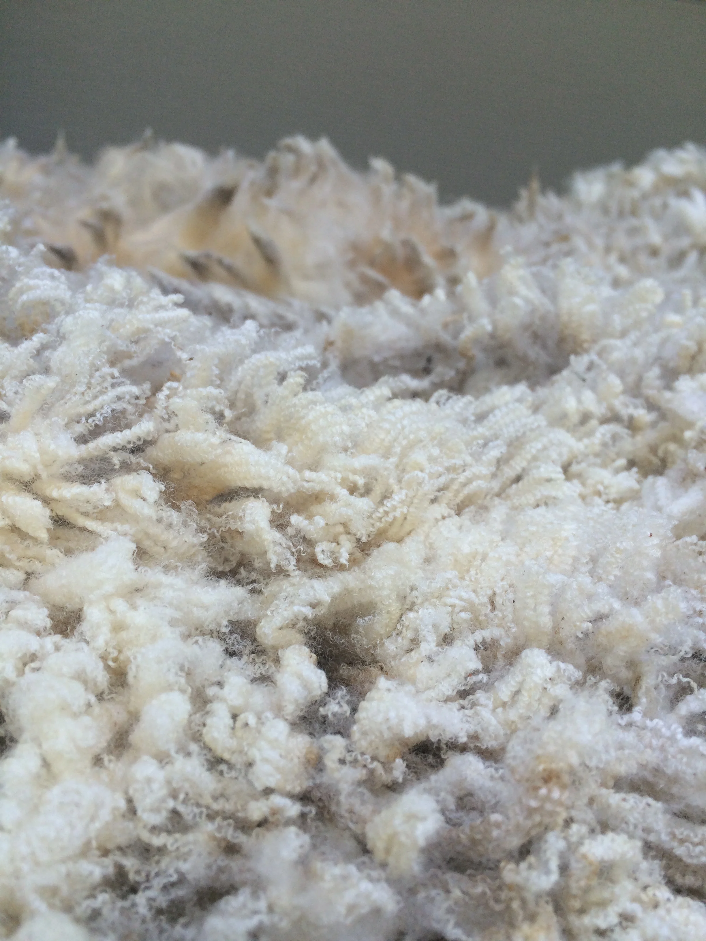 Raw Merino