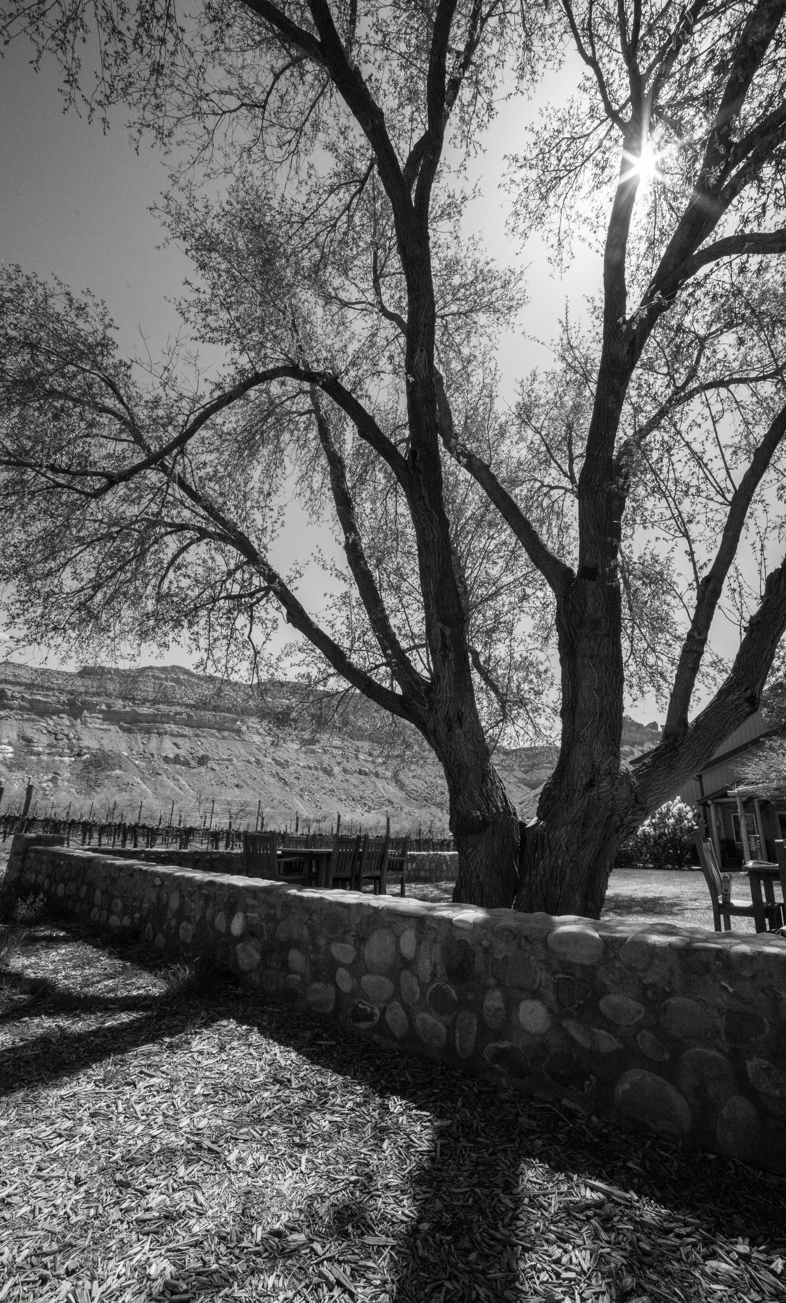 PalisadeTrip (3 of 1).jpg