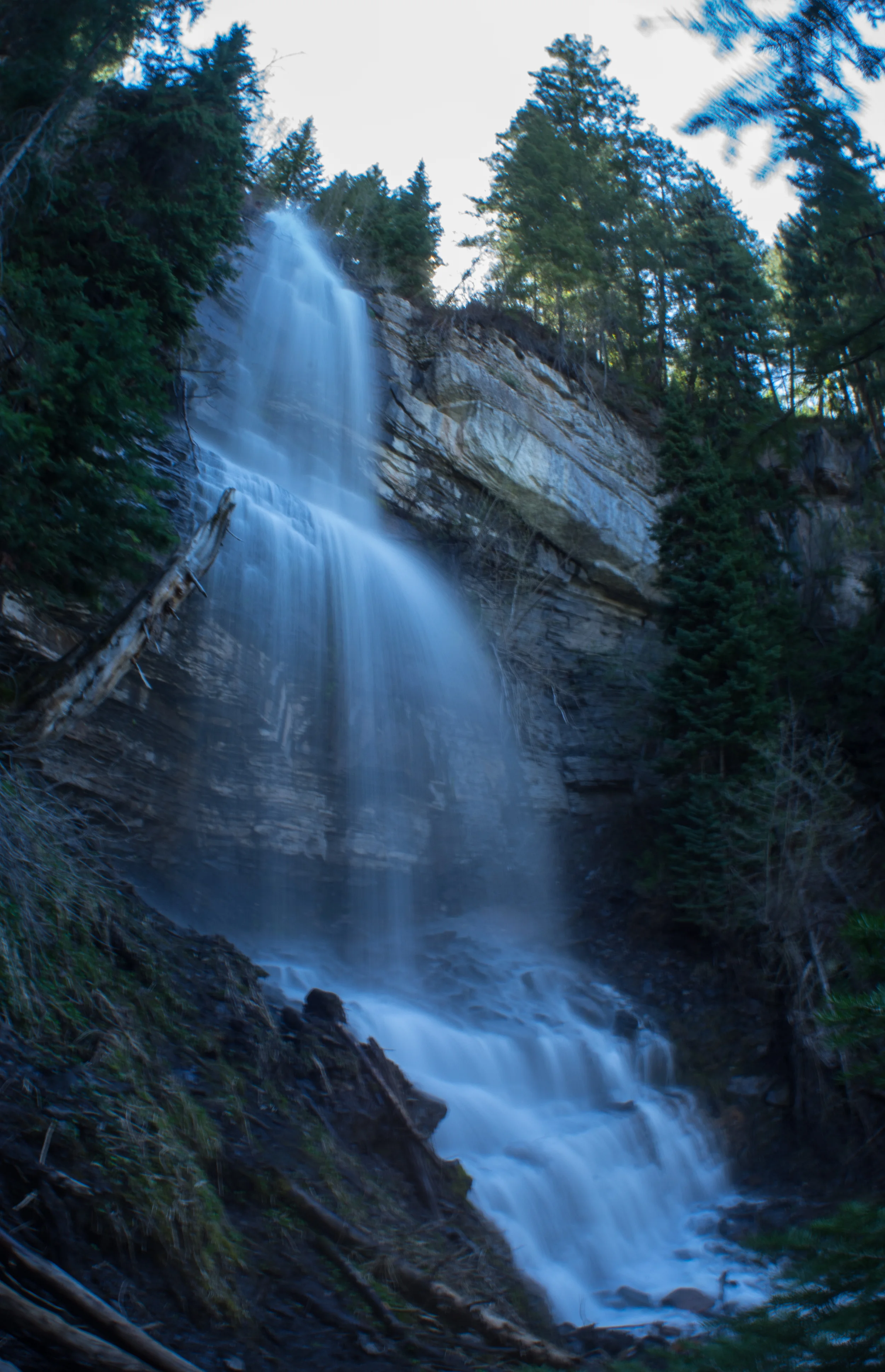 MYT Adventure Images - Spring Snapshots — F. SPONTELLI