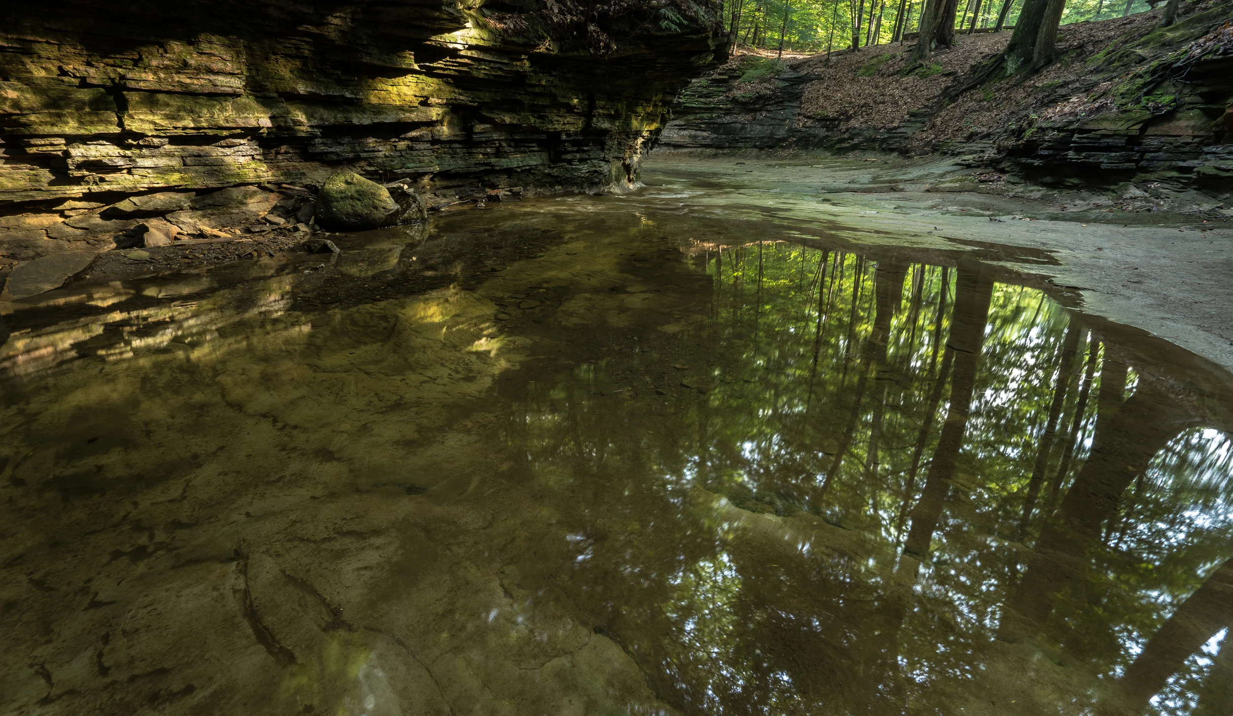 sulphursprings (8 of 1).jpg