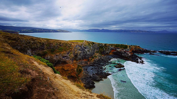 HEYWORD POINT HIKE // DUNEDIN, NEW ZEALAND