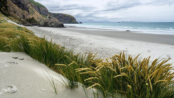 ARAMOANA BEACH // DUNEDIN, NEW ZEALAND