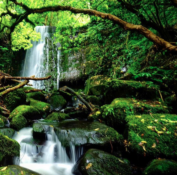MATAI WATERFALLS, NEW ZEALAND'S CATLINS NATIONAL PARK