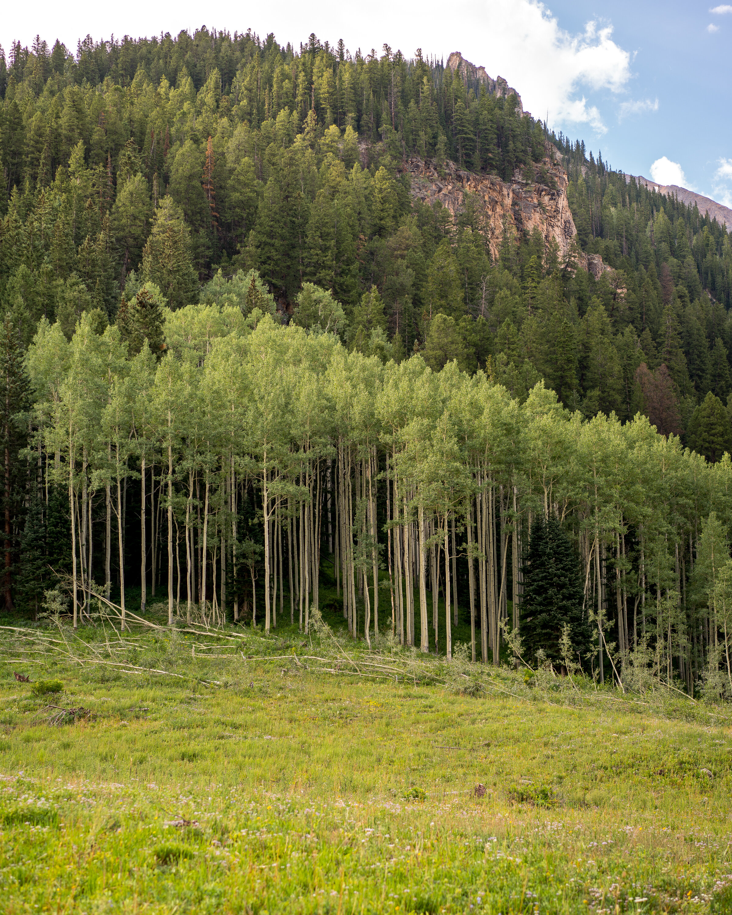 Conundrum Hot Springs Aspen Colorado backpacking trip (2 of 1).jpg