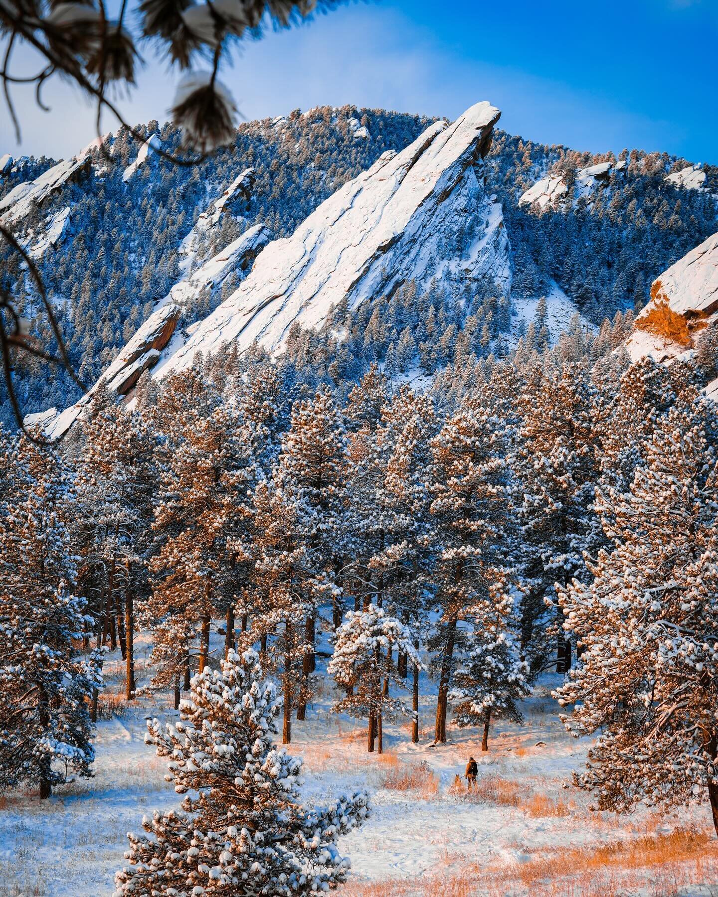 Wait, wait, wait... Wait a minute, isn&rsquo;t this what winter in Colorado is supposed to look like?! I&rsquo;m having a hard time not falling in love with the 60-degree days in January 📍Chautauqua Park, Boulder, Colorado 

Attention Boulder Busine