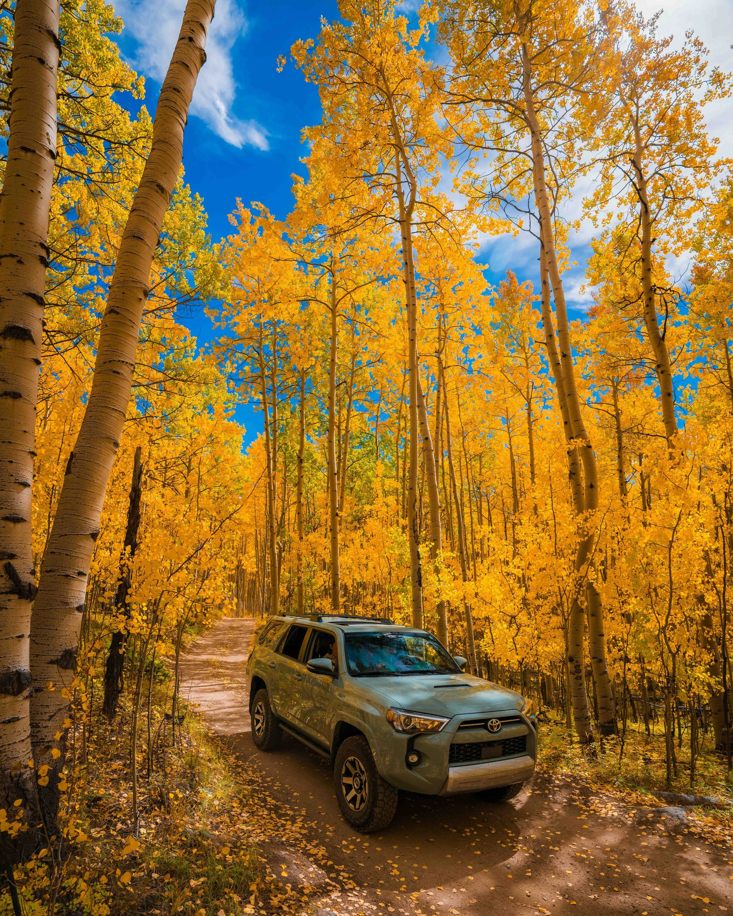 Launch of the Expanded 2025 Chasing Fall Road Trip Guide