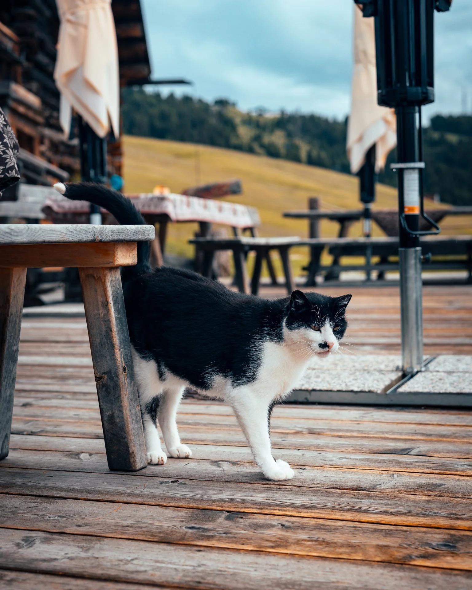 Dolomites guide post guide release (1 of 3).jpg