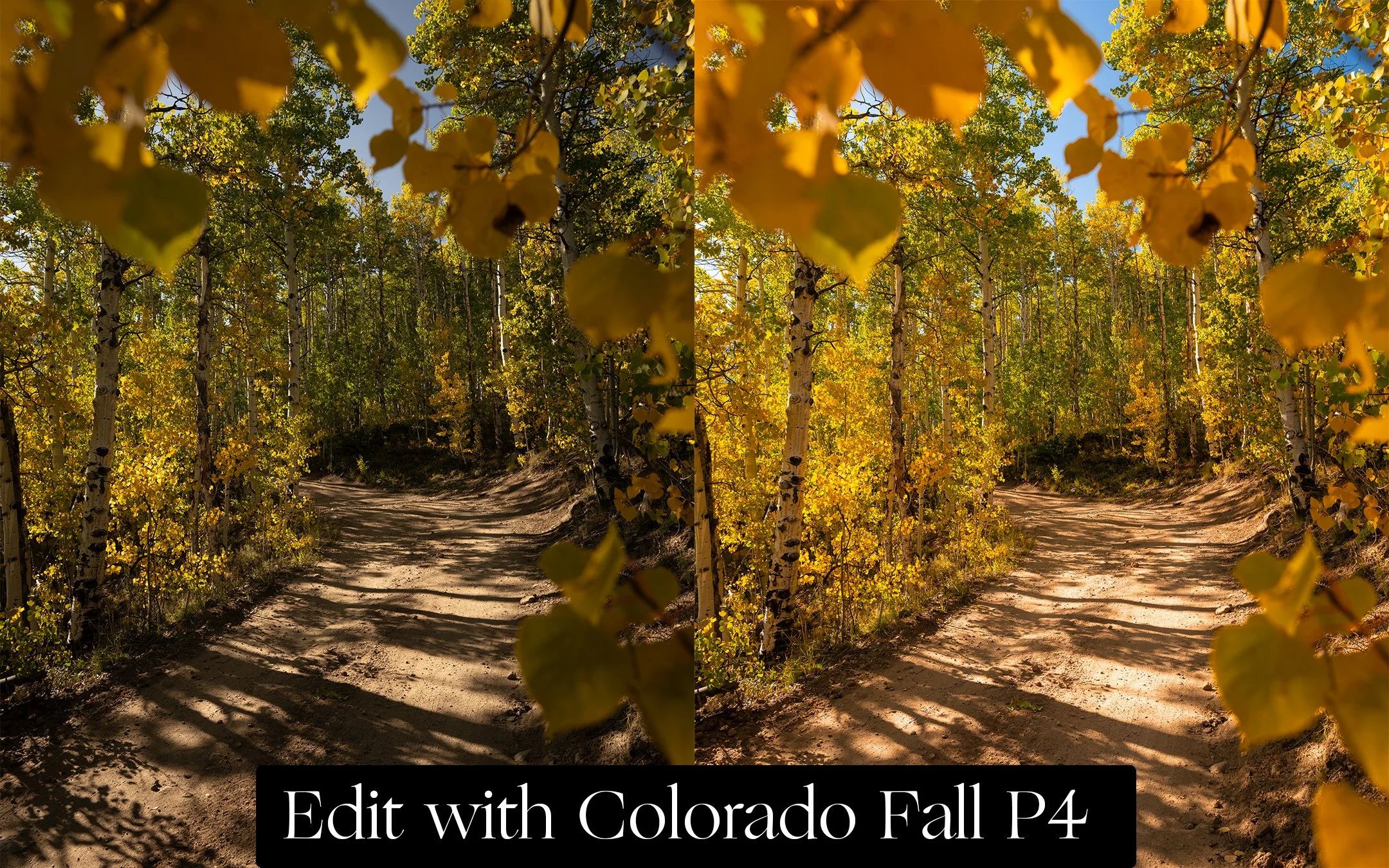 Before-After-P4-Final.jpg
