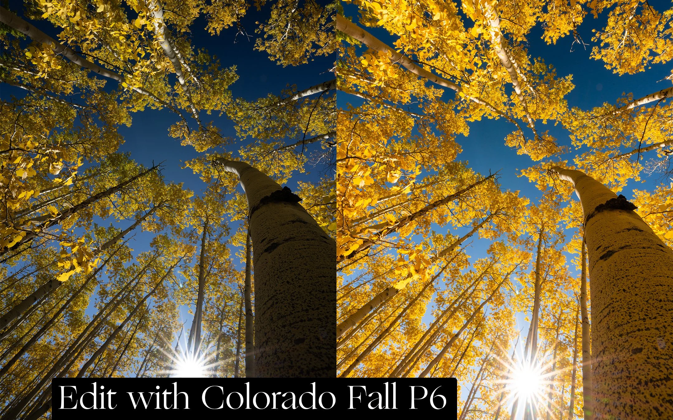 BeforeAfter-P6.jpg