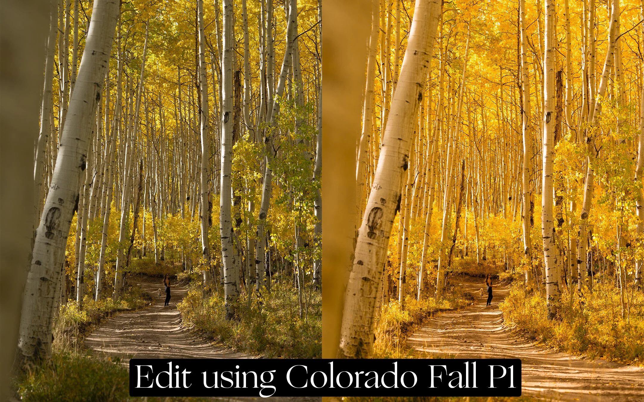 Before-After-P1-FinalFinal.jpg