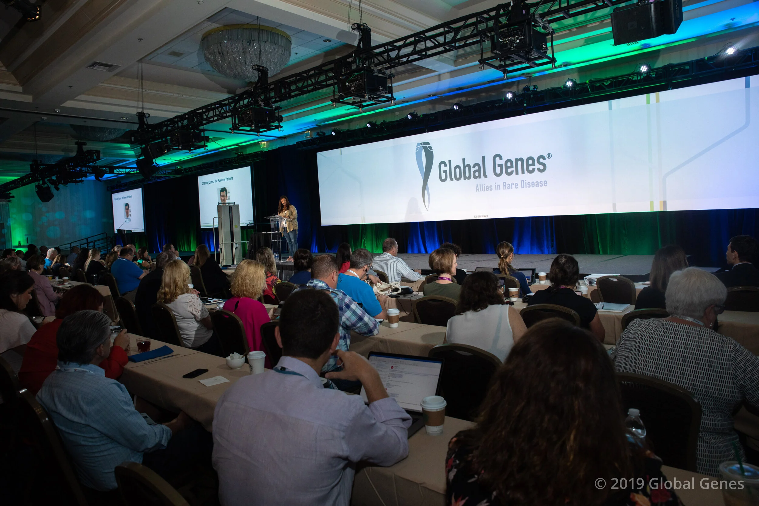 0P3A3700-5.jpg