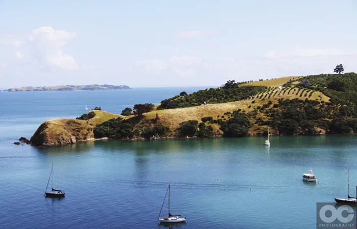nz_auckland.jpg