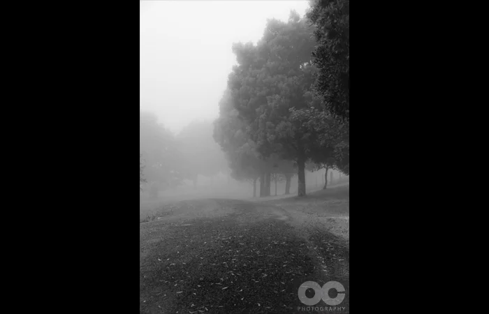 misty_morning.jpg