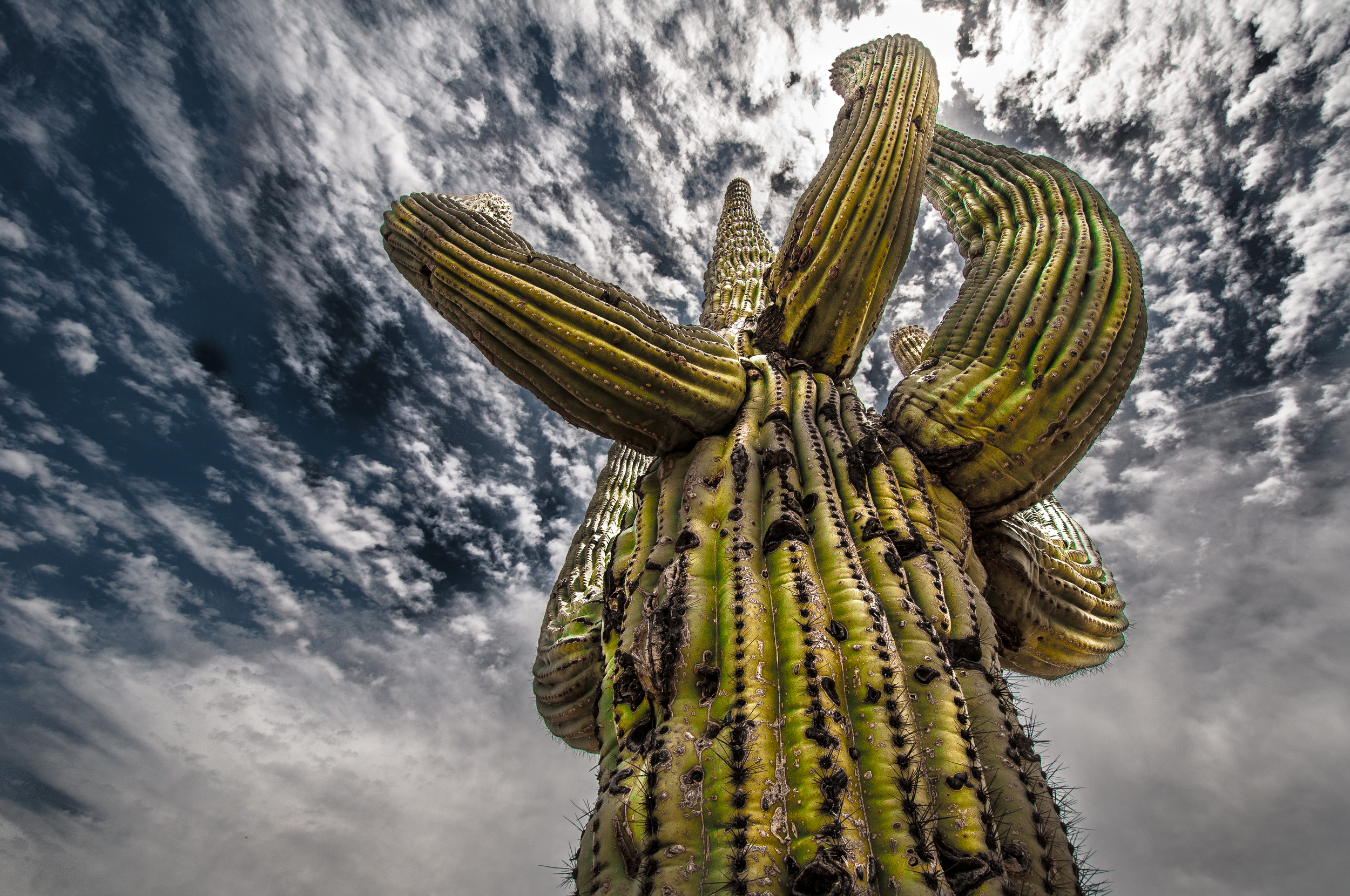 tucson-906.jpg