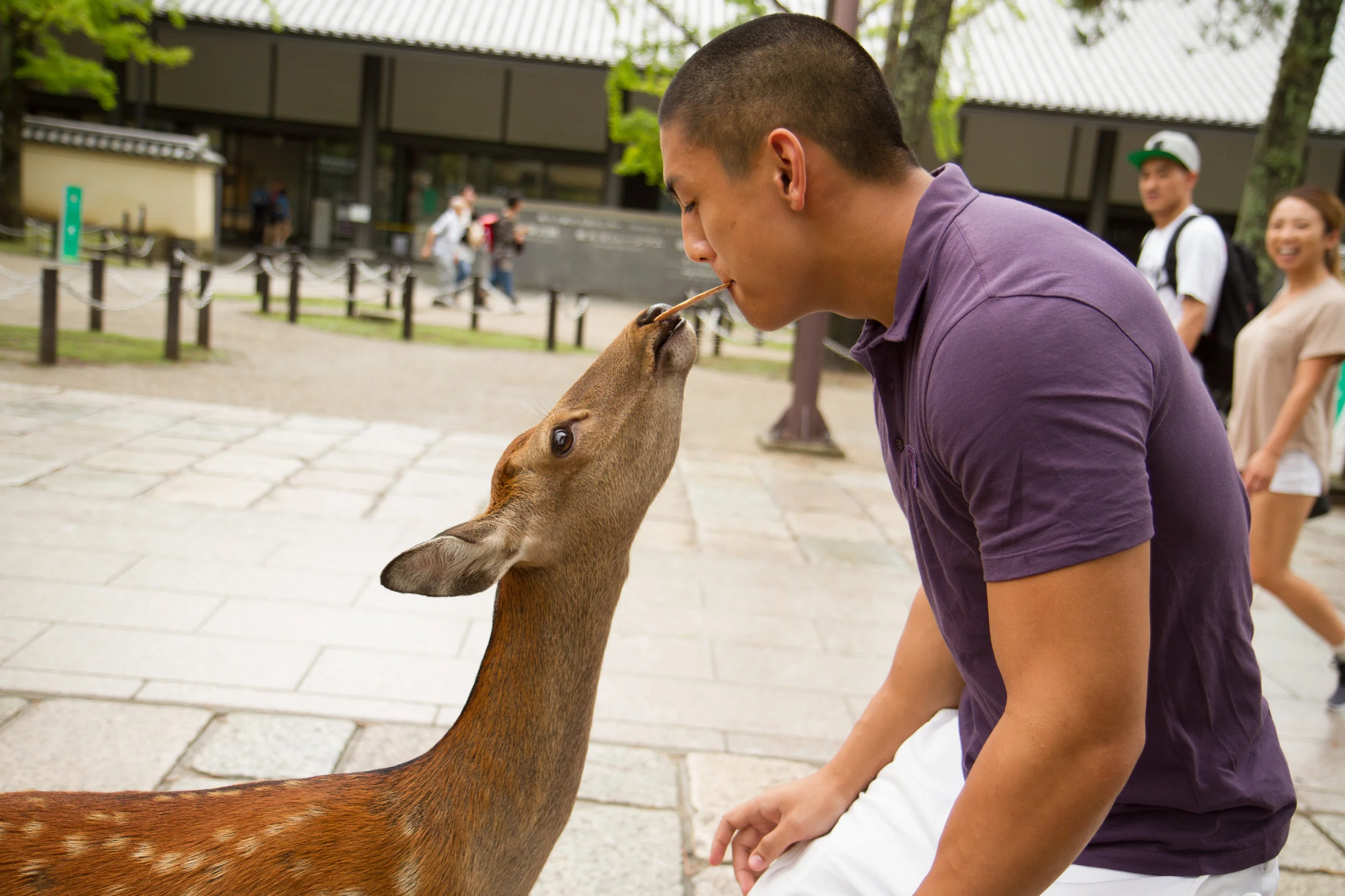 _MG_3644.jpg
