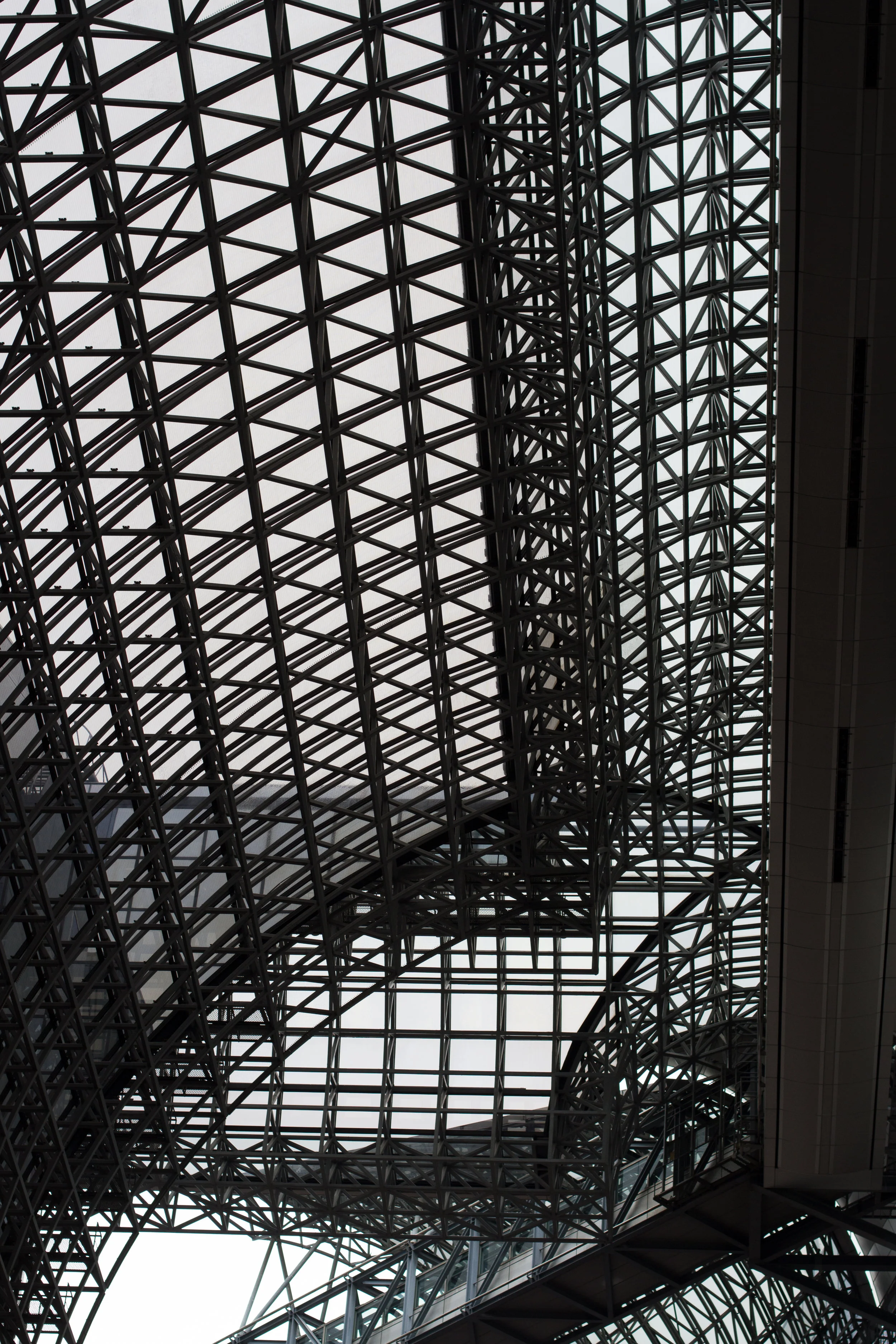 _MG_3442.jpg