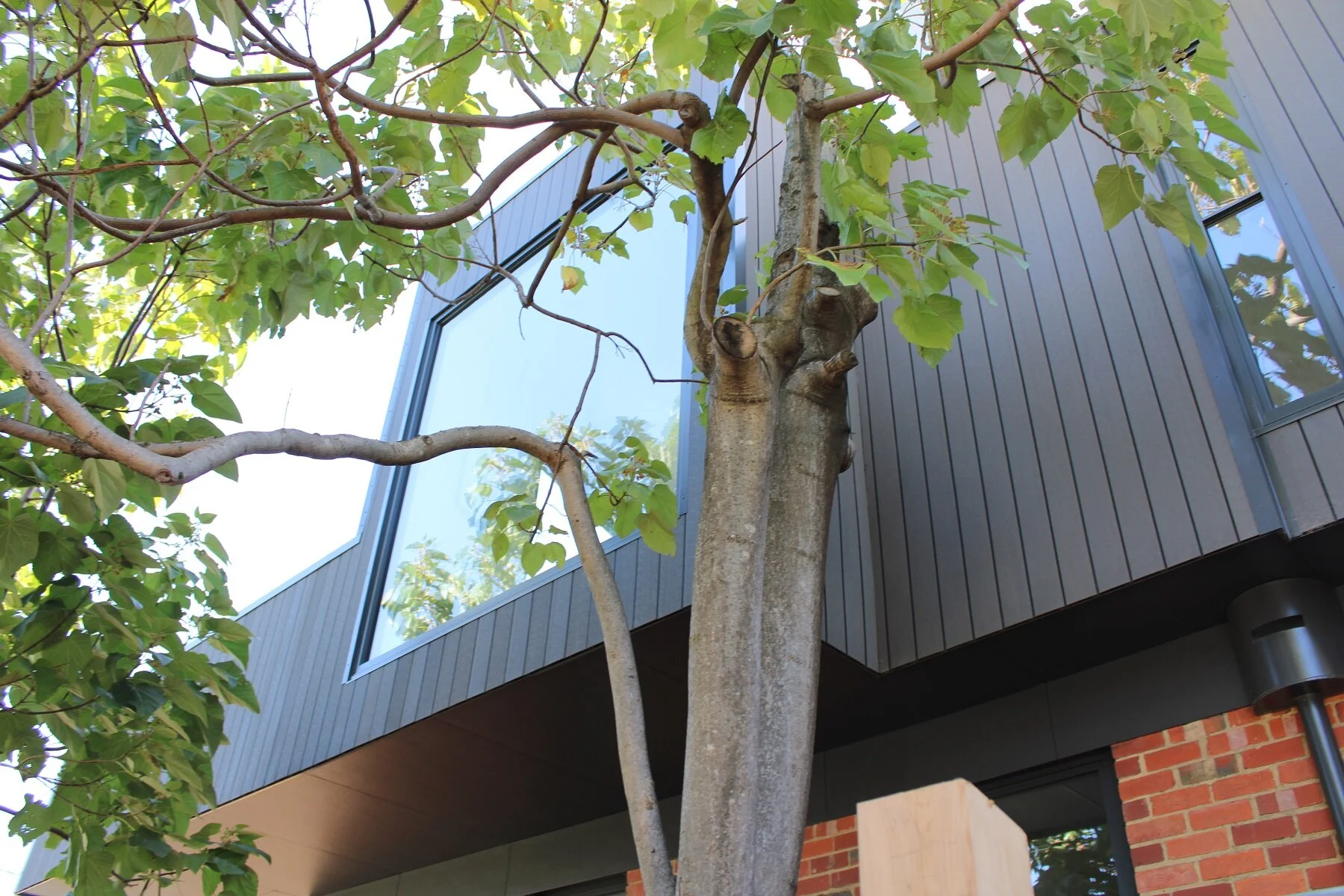 Highett Extension 11.JPG