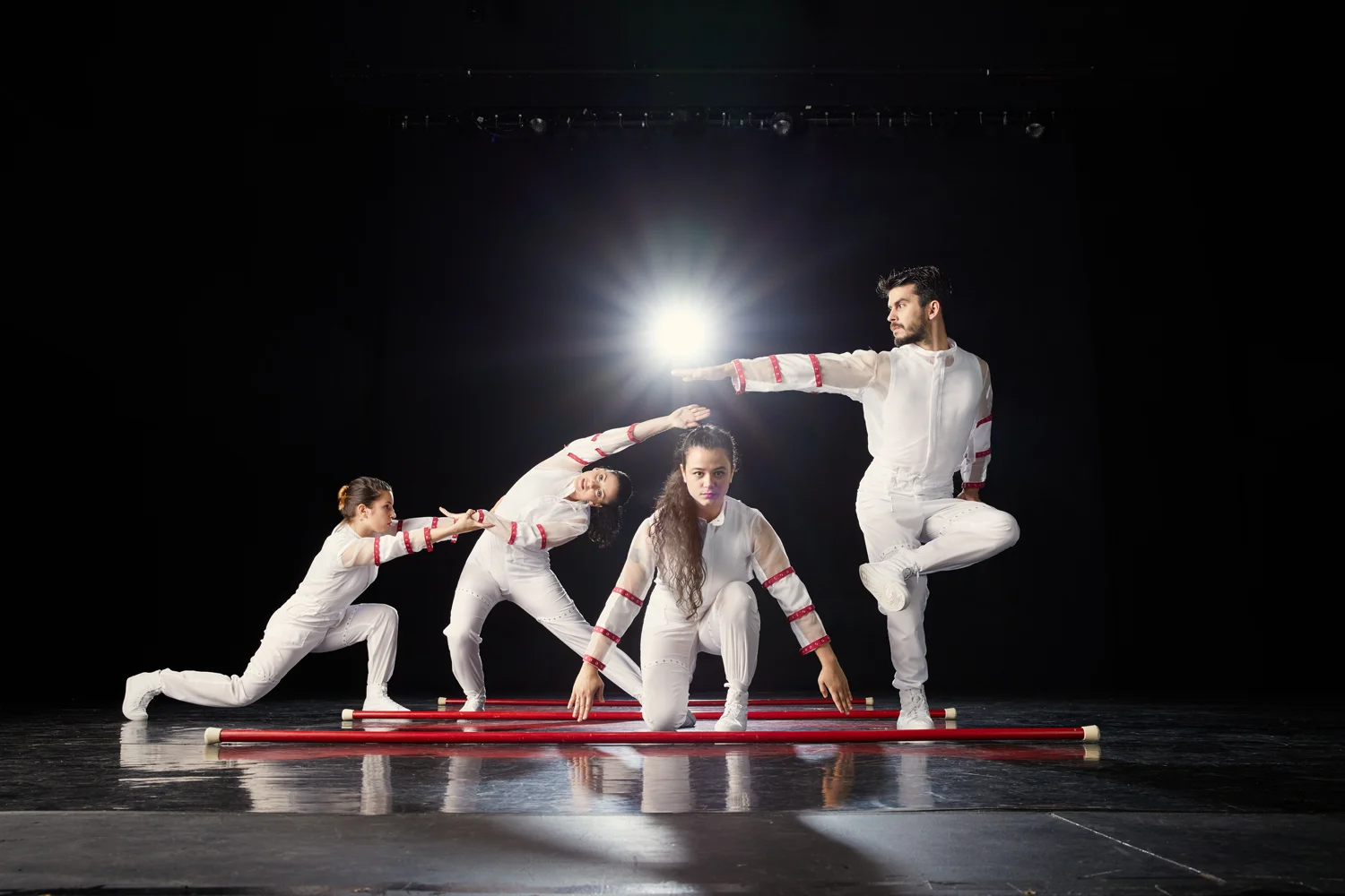 hedwig dance