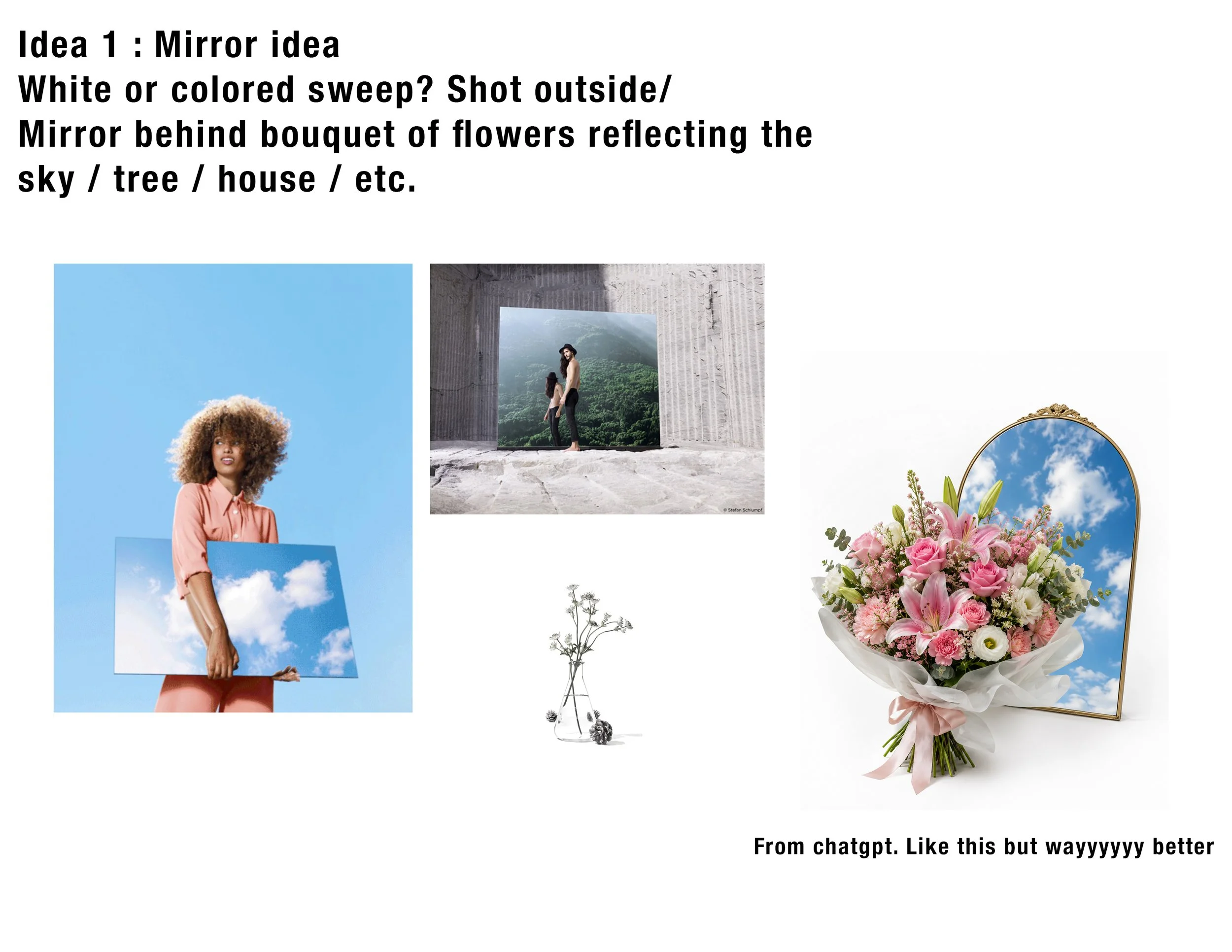 Idea1 Mirror.jpg