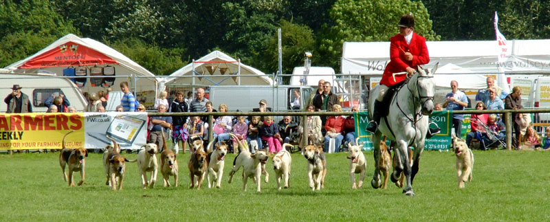 Agricultural Show