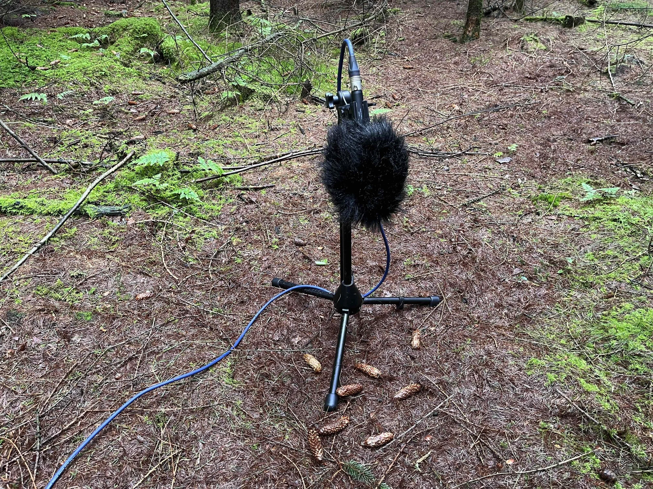 Field Crafting.jpeg