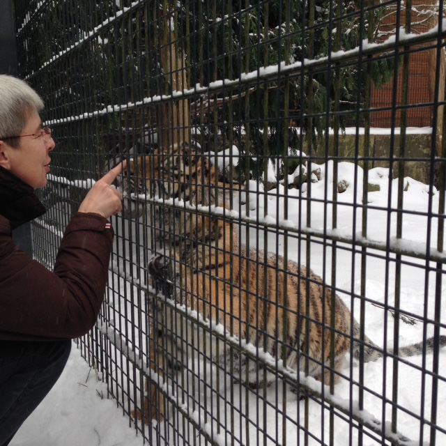 Tigermama Doris Tesch begrüßt ihren Kleinen. Foto: Maria